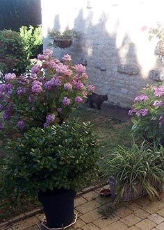 chambre d'hote vendée 6