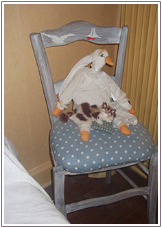 chambre d'hote Le temps des cerises 5